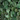 Green Aventurine