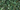 Green Aventurine